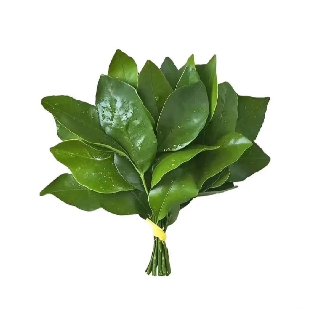 悲伤烤土豆🥔