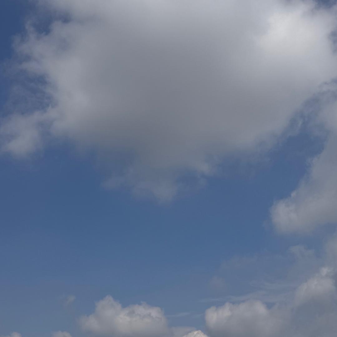 晚