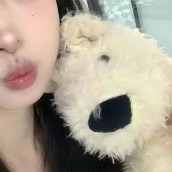 刘發發（发财版.）