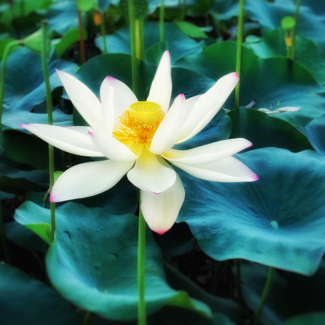 今天我休息