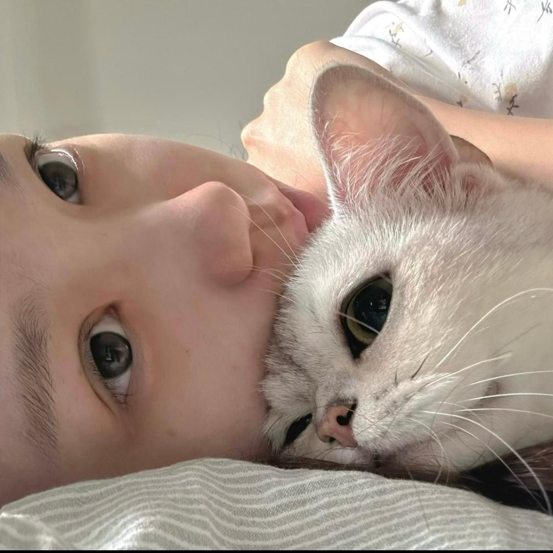 26h