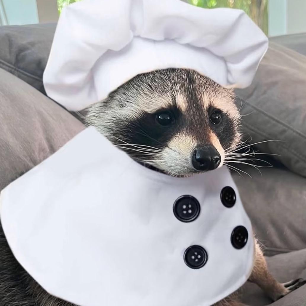 淋氧🐟（米英孝女