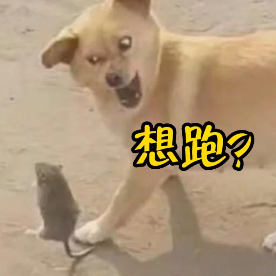 阿真老弟