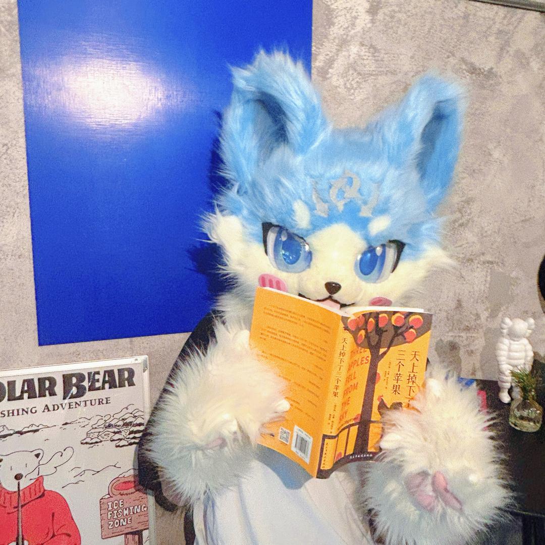 肉圆努力长胖🐾🌈