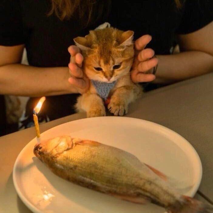 世界需要我