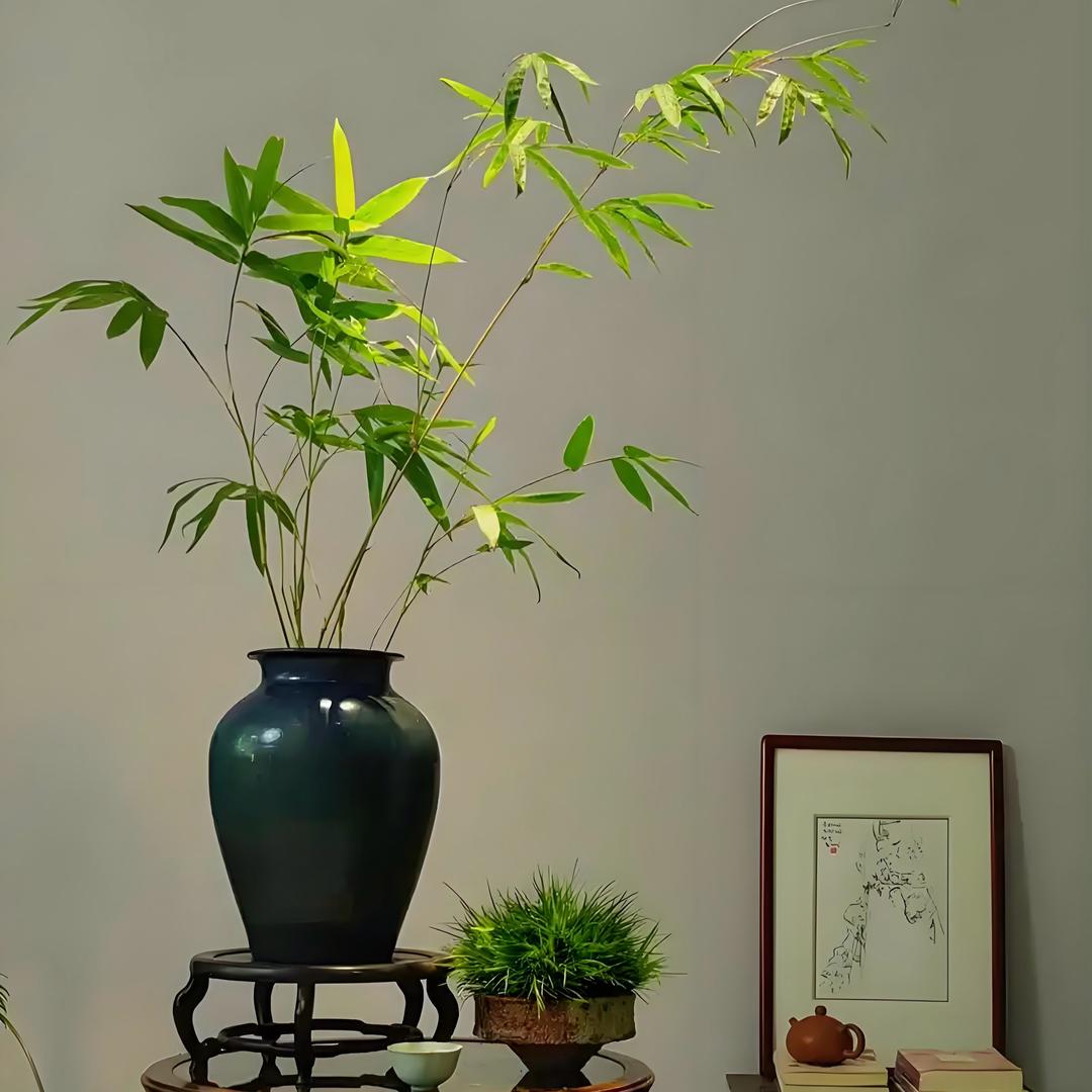 蓝益园艺优品