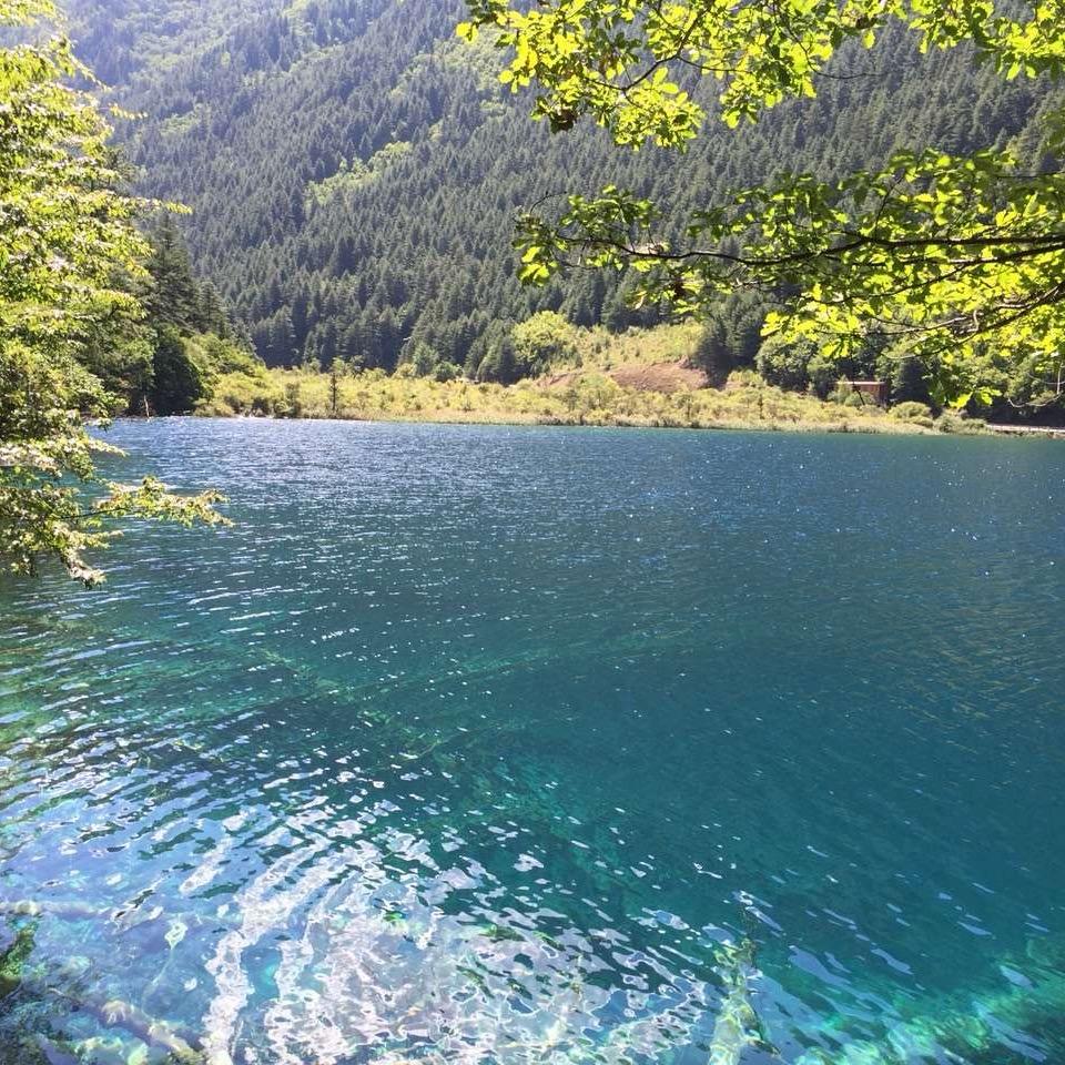 幻化成风