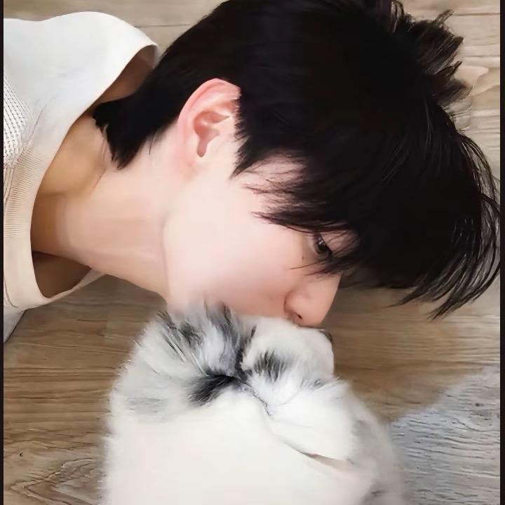 土豆🐶