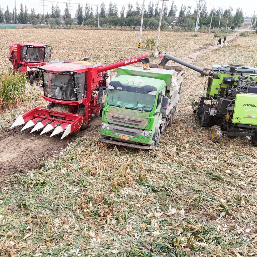 @ 大飞 乡村好青年
