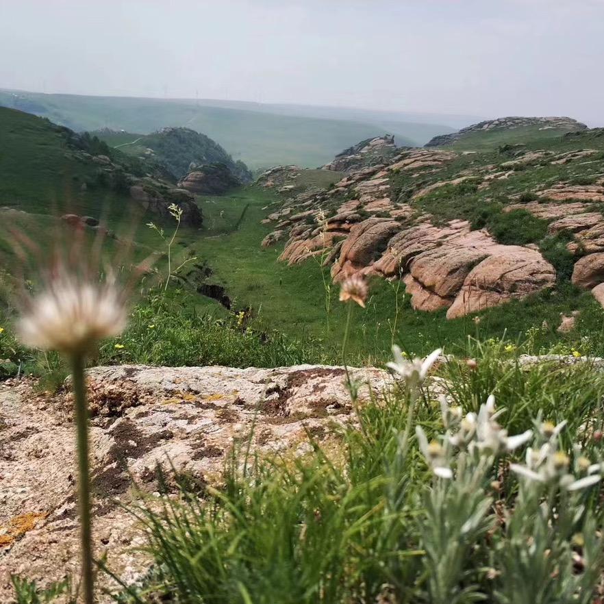 新青禾五金刀具