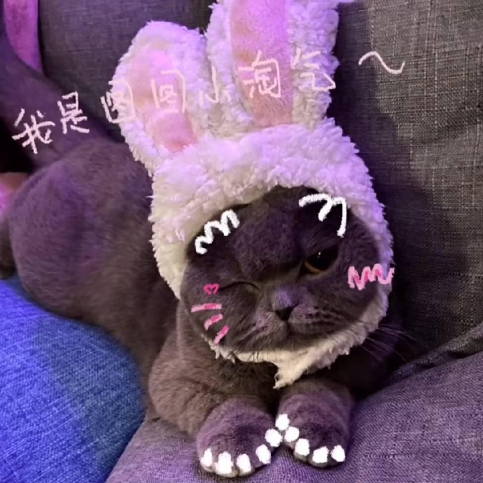 ❤️草莓男孩❤️