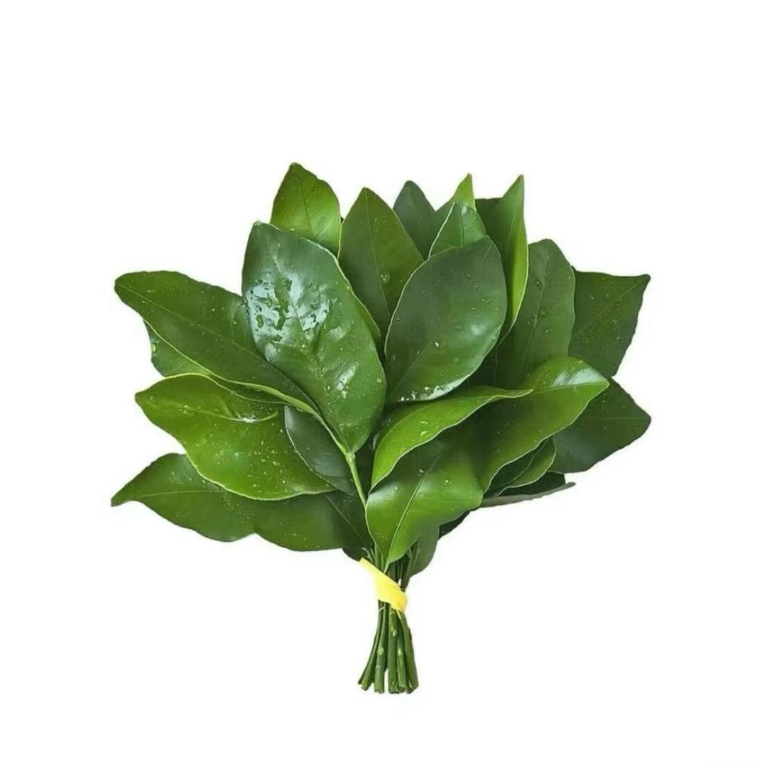 🌴
