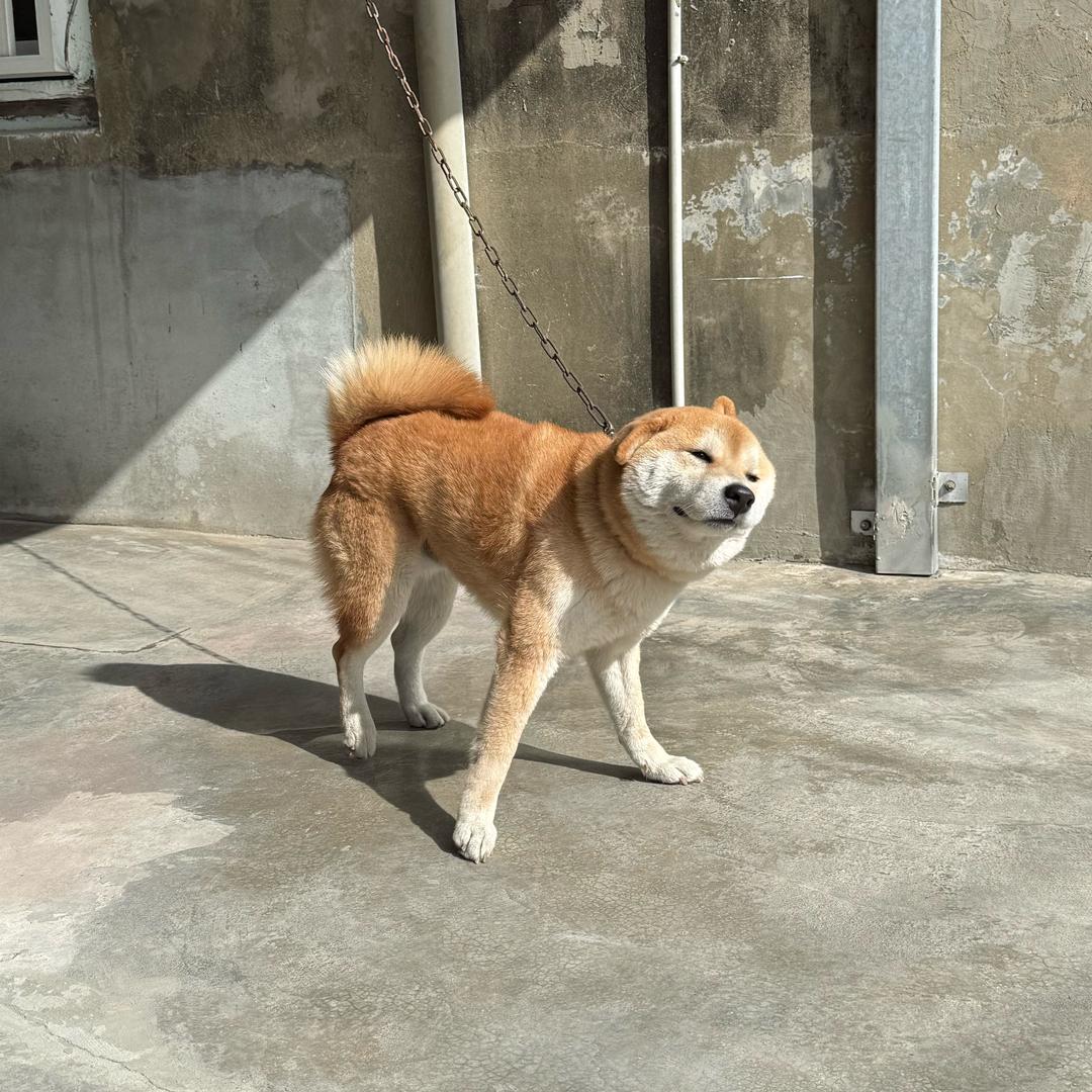 ㄆ