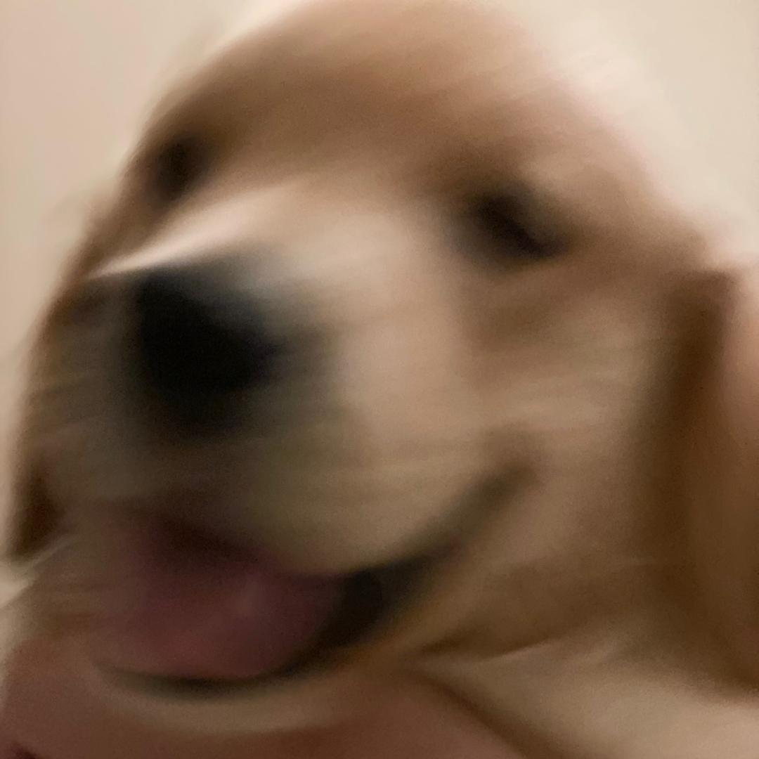 JimMy