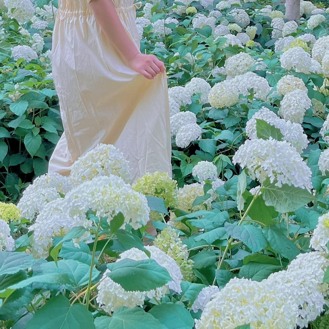 未闻花名只见你