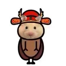 豆豆（三角洲行动）