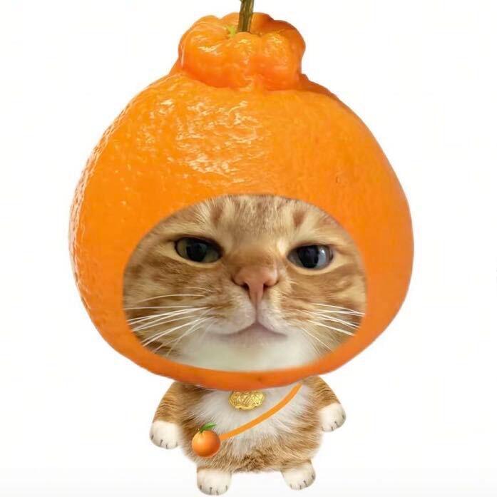 百折不摧美味姜.