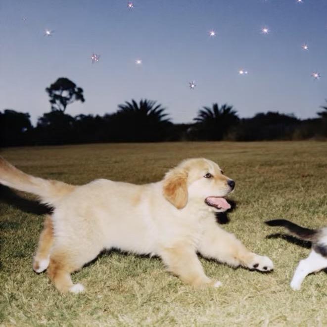 一口鲜食（在主页）