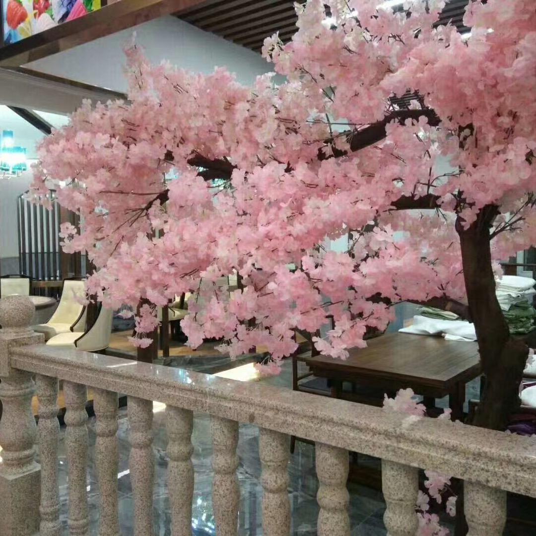 乐陵最后的温暖