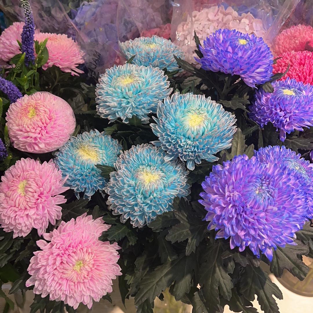 小小小花农