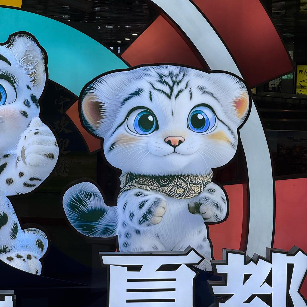 狮子🦁猫