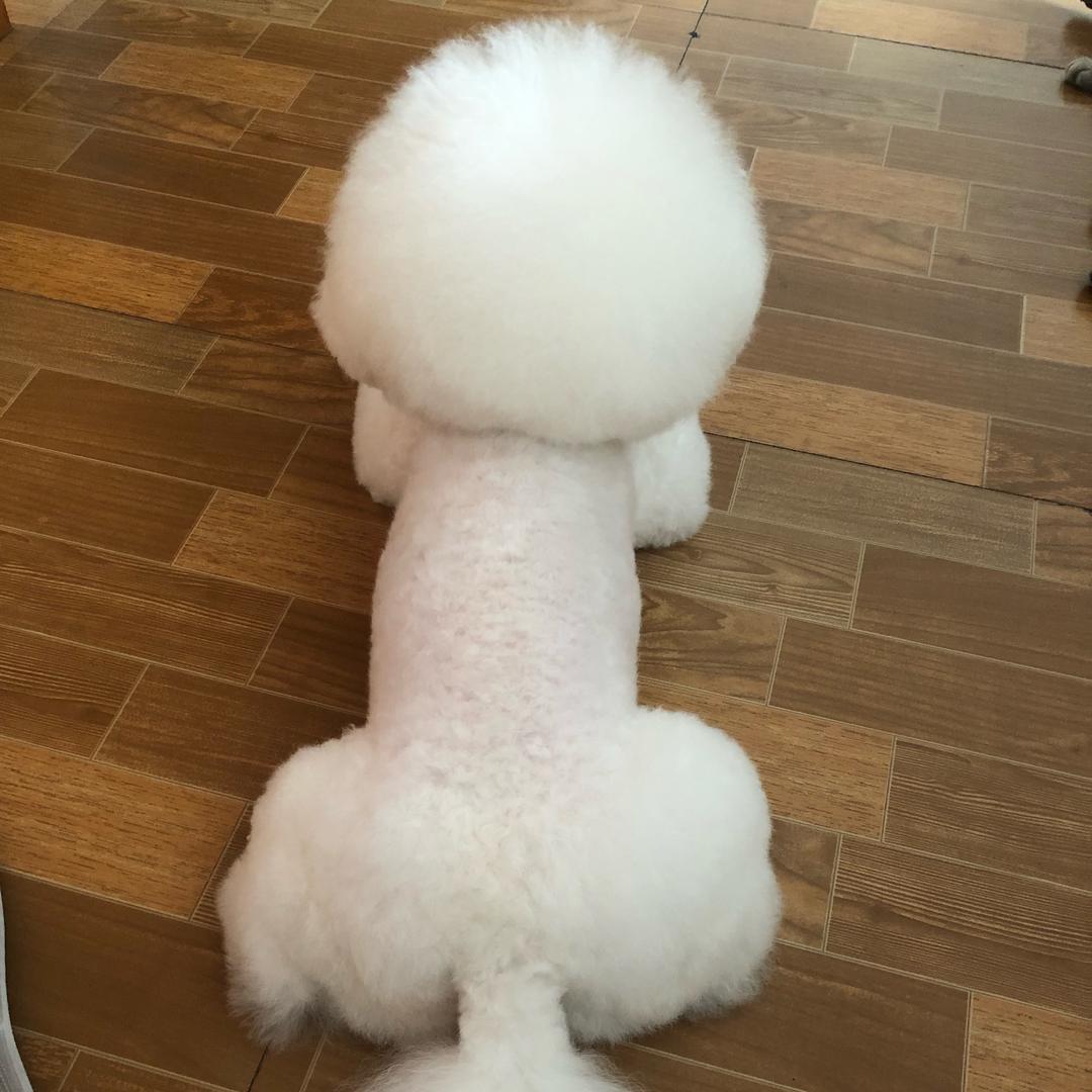 小米粒是个宝宝