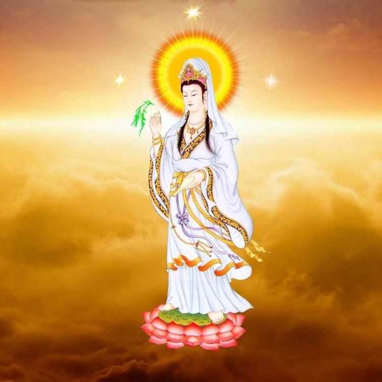 应哲