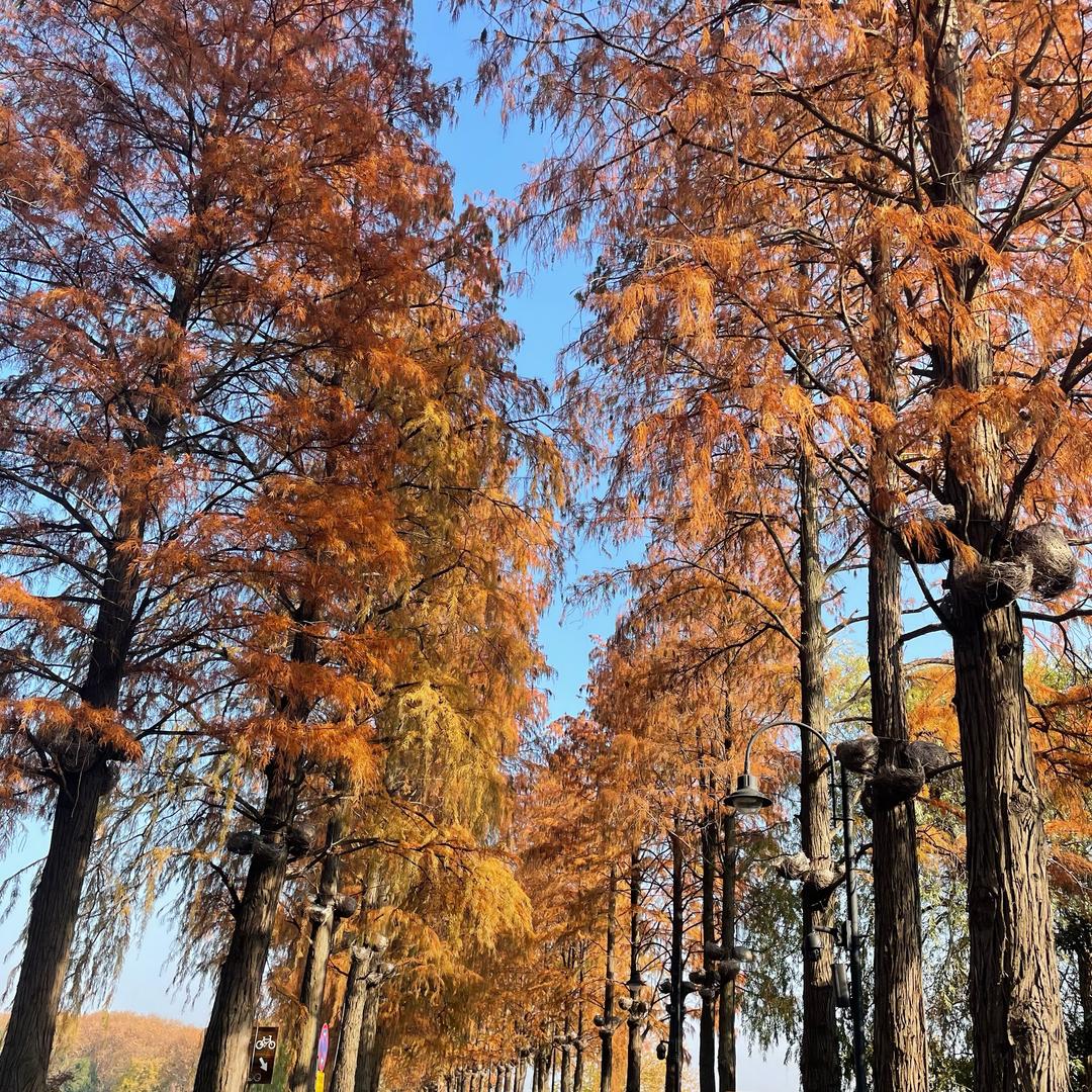 租房🏆10年金牌王者🥇小赵