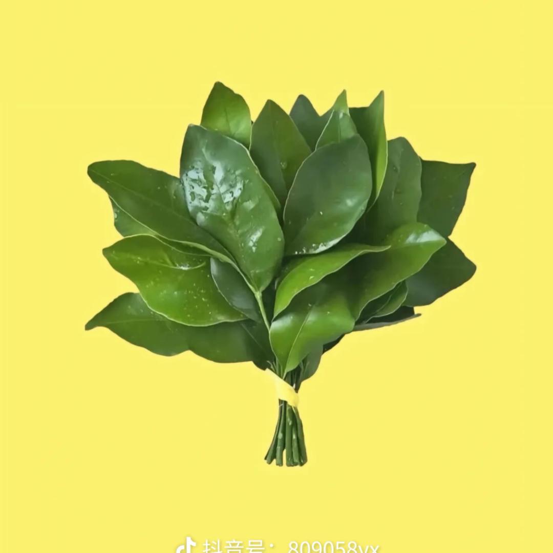 格力空调-AO史密斯