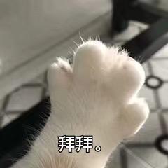 萤火绵绵