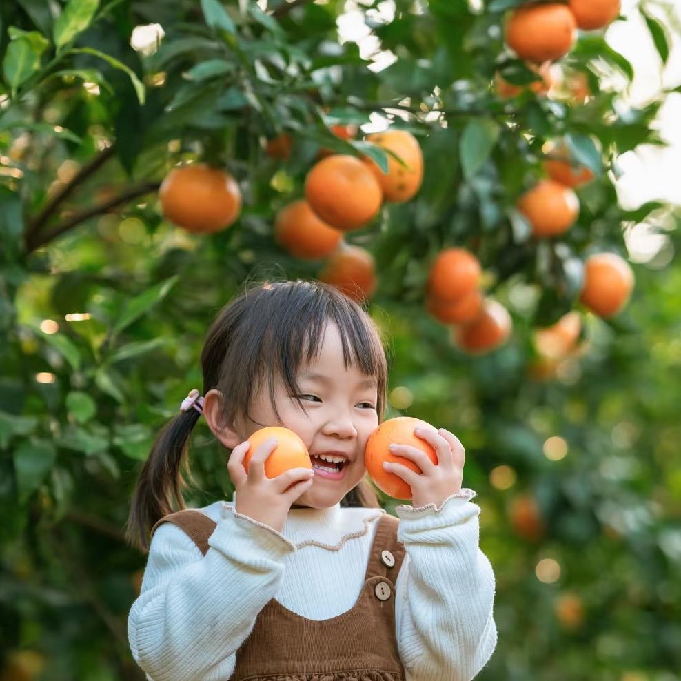丁丁甄鲜产地直发