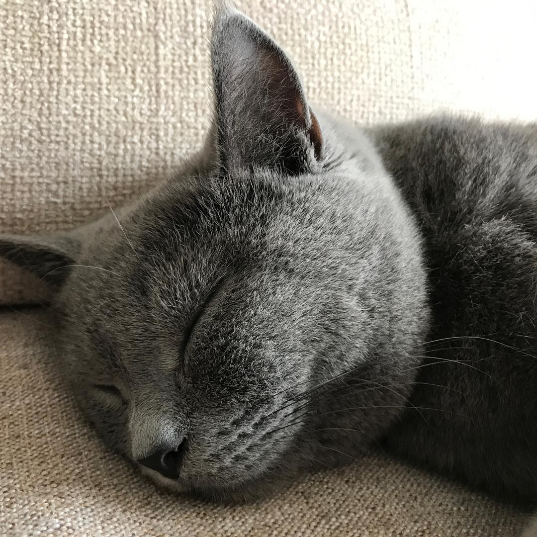 36.1℃的热爱感受当下的幸福-小满