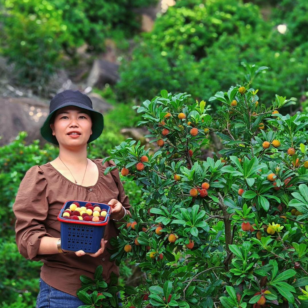 杨梅爷爷好物精选