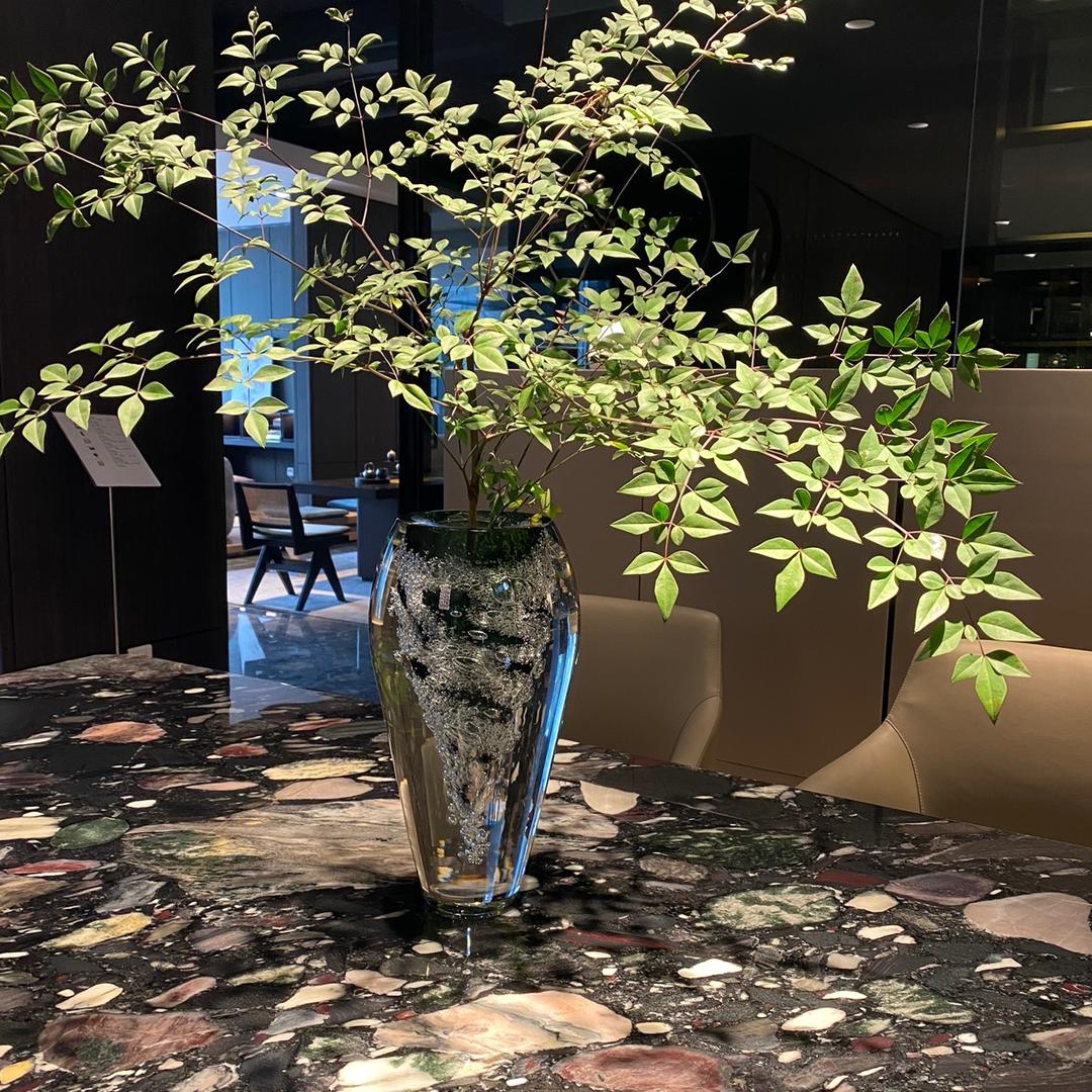 白色紫罗兰