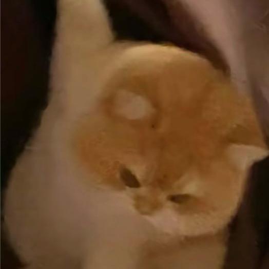 en