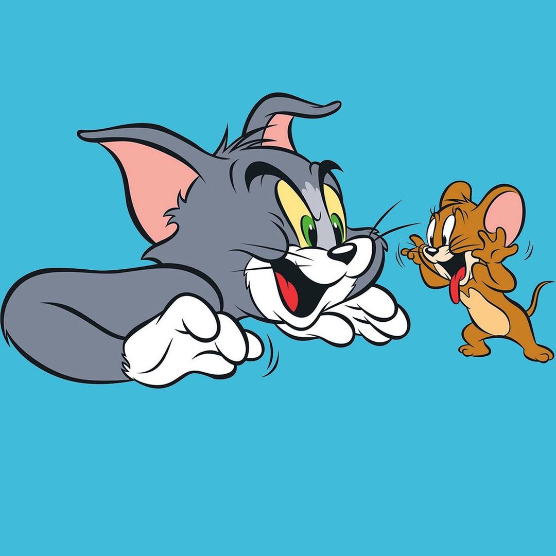 ͏͏͏͏͏͏͏͏͏͏͏͏子帆.