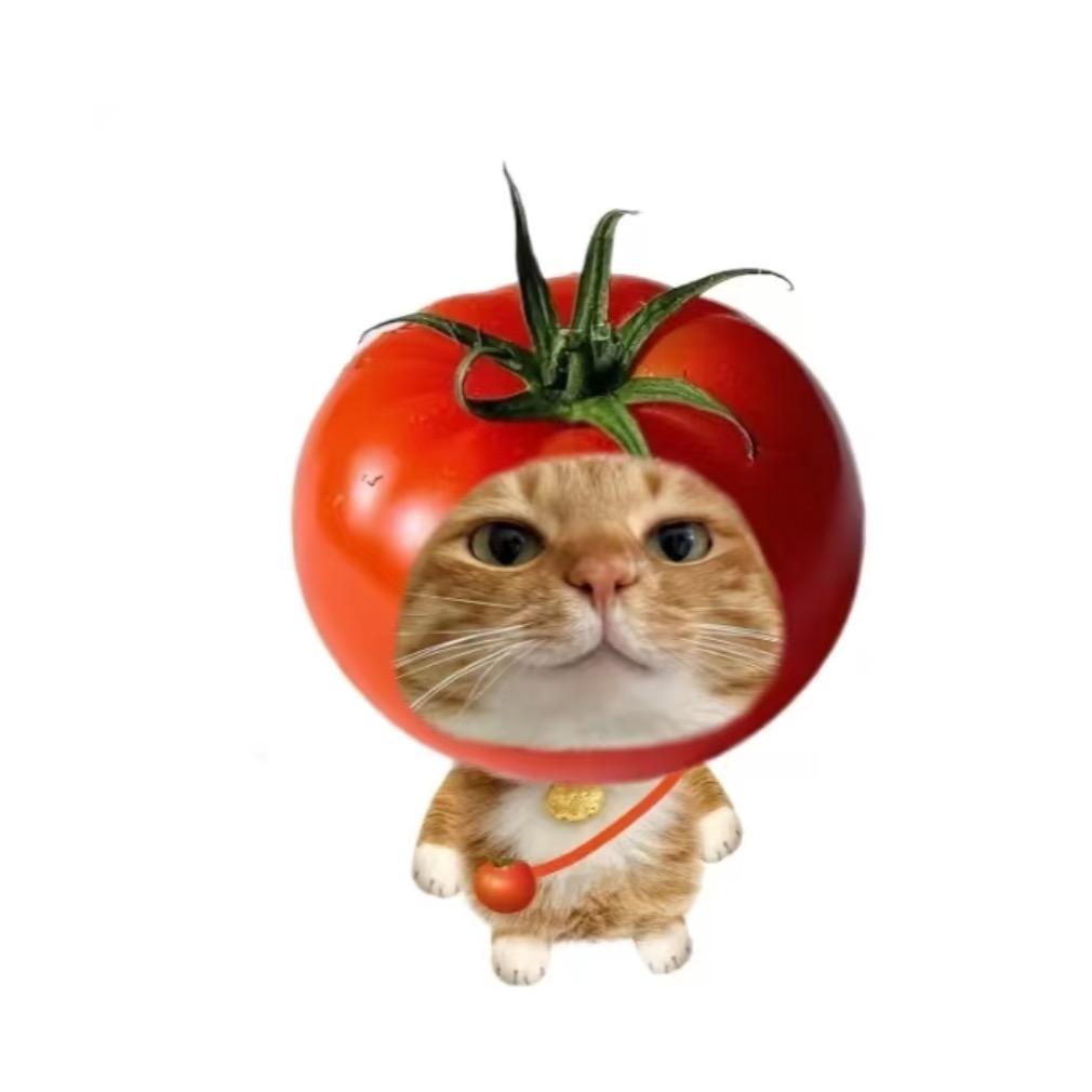 泥泥