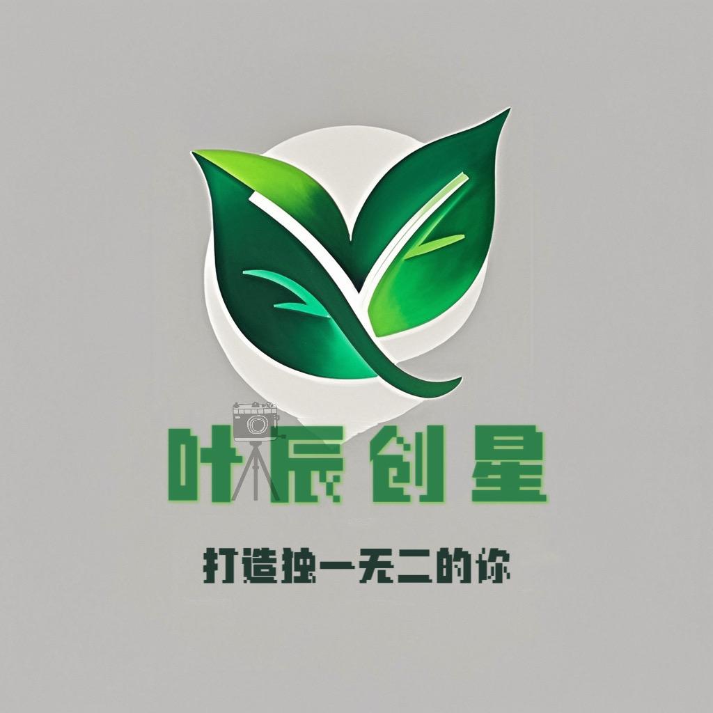 叶辰创星科技有限公司