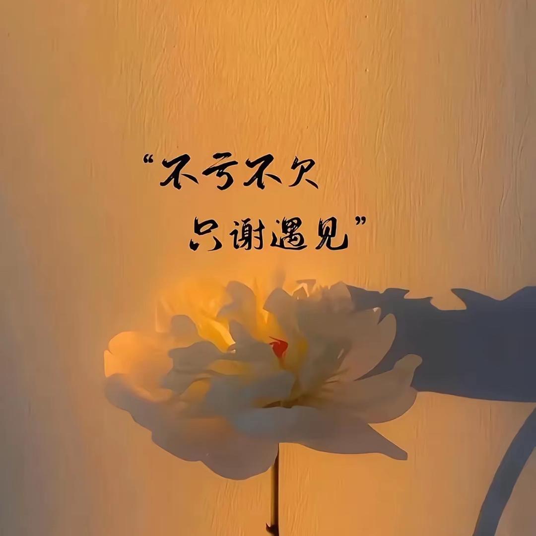 💓十一💓