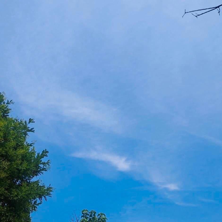 零度曙光、晴天（比游科技）