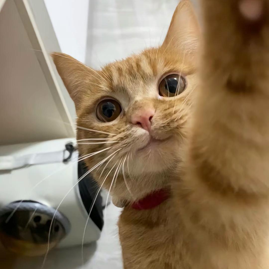 aaaa.