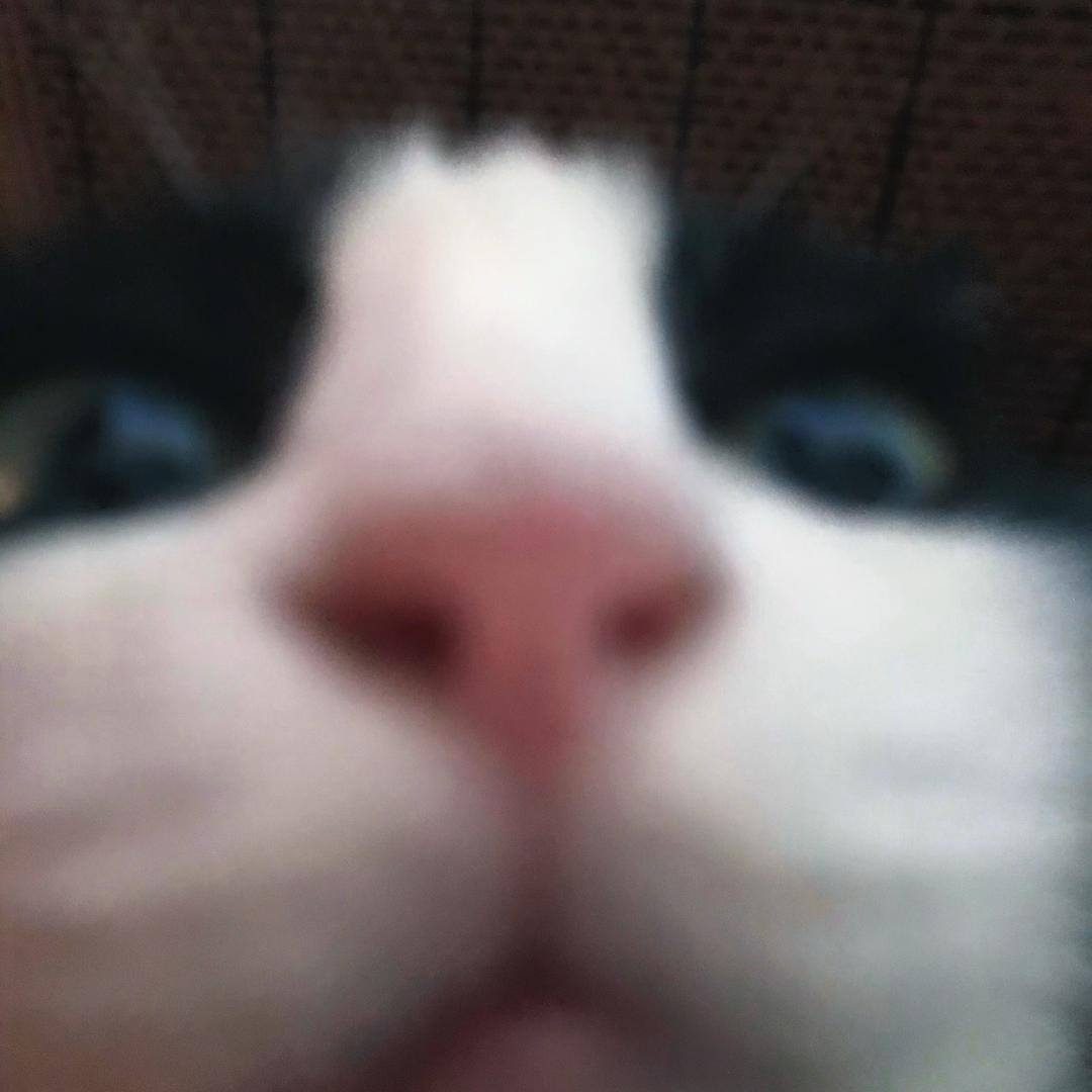 渝6789