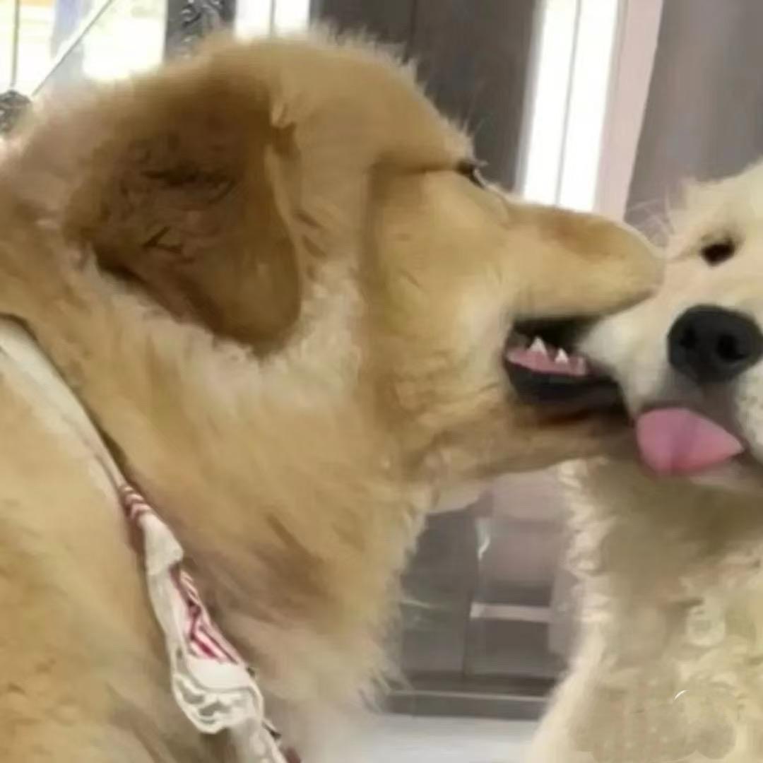 管不了一点