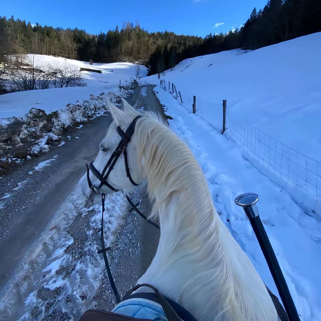 黔江阳光花园二娃鲜货烤串两米一串