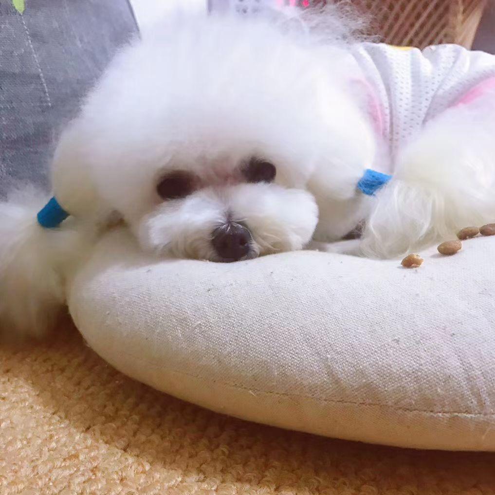 乒乓球