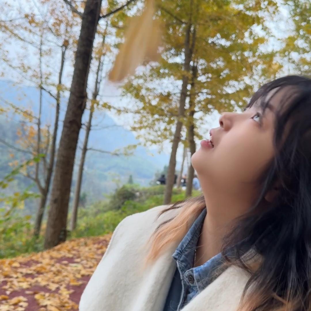 秀山迪迪@畏