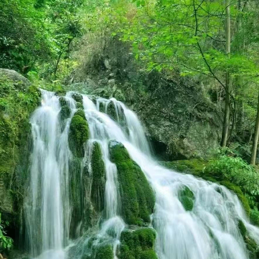 王廷伟.汇民建材