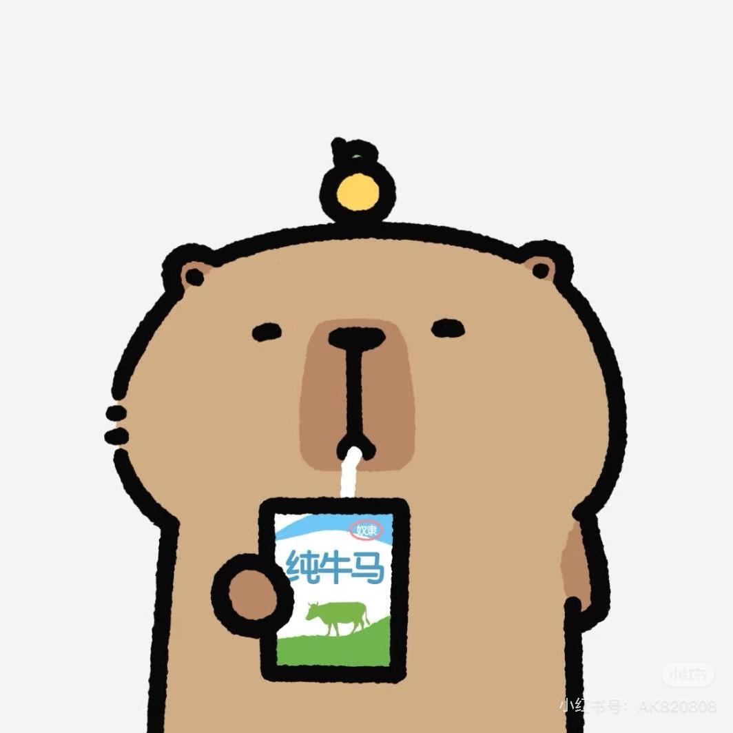 丁丁优选