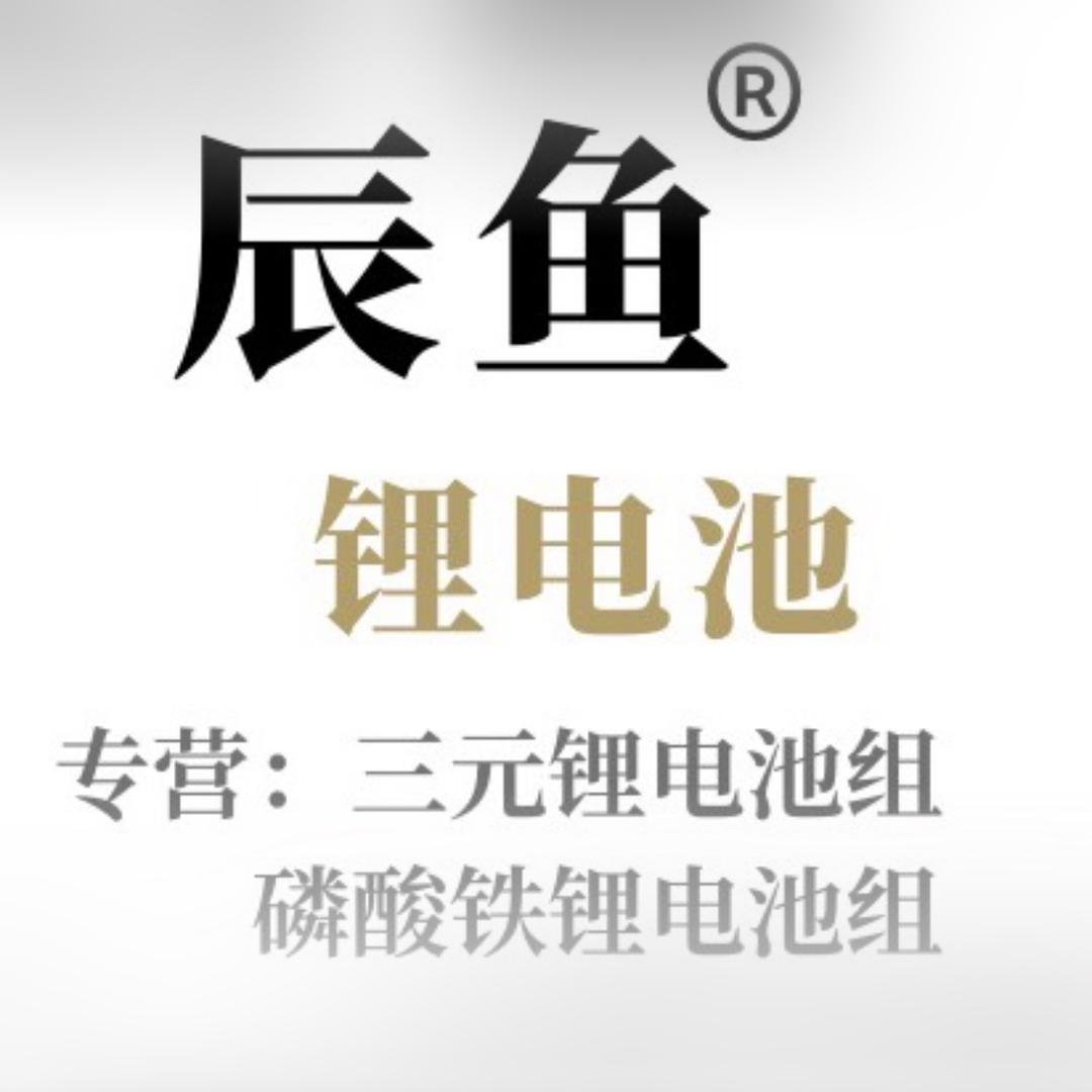 辰鱼锂电池