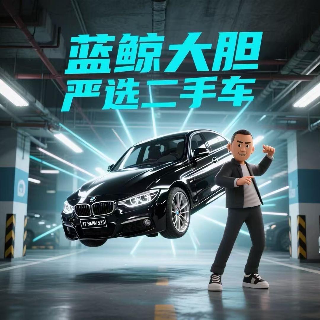蓝鲸大胆严选二手车（大胆严选）